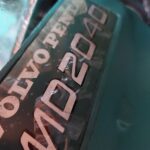 Bootsmotor Reparatur Urlaubscheck